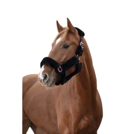 Kantar dla koni Equithème Teddy Rose gold