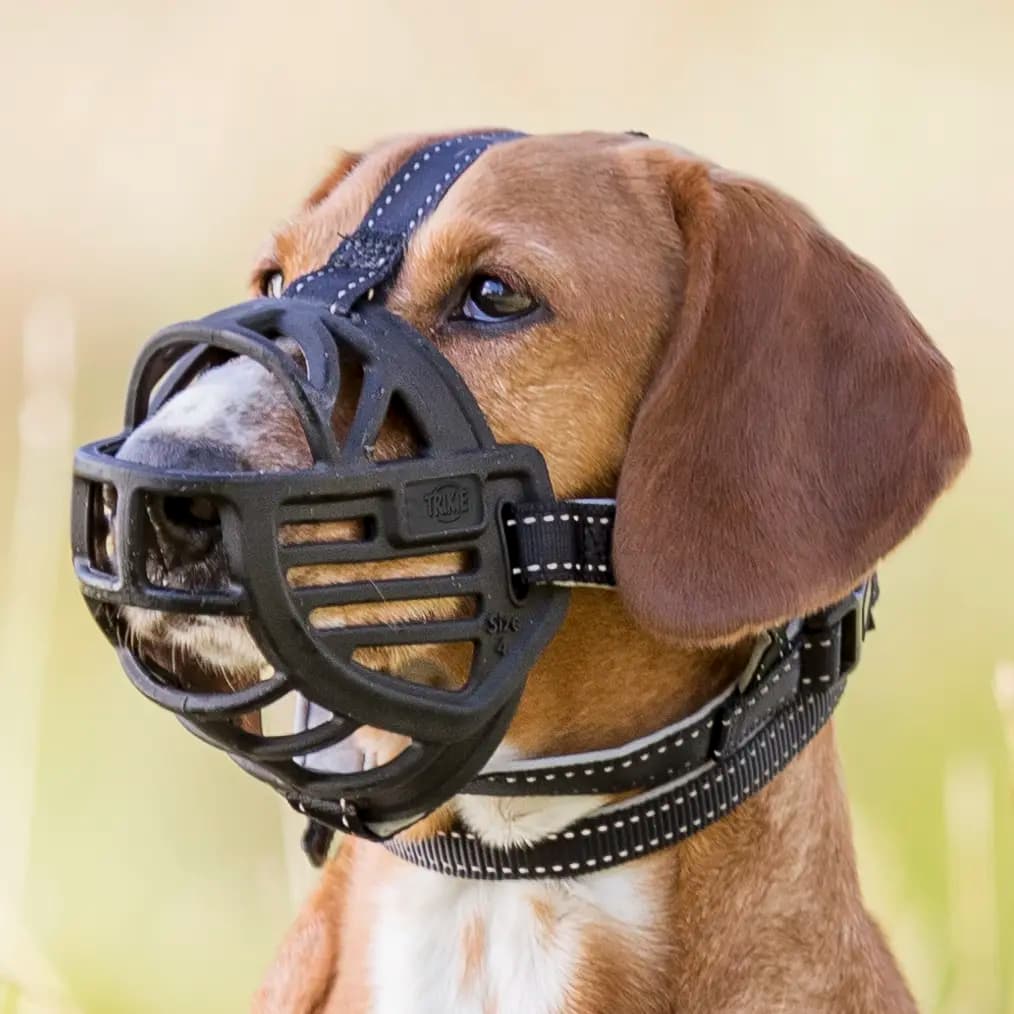 Kaganiec gumowy dla psów Trixie Muzzle Flex