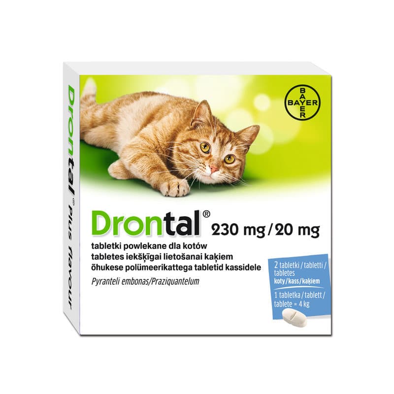Bayer, Drontal, tabletki odrobaczające dla kota, 2szt.