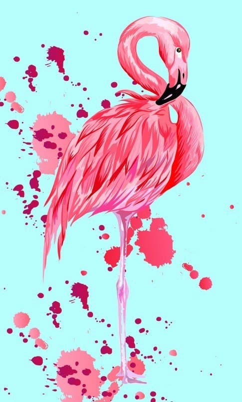 Carbotex, Ręcznik welurowy do rąk, Flaming, 30x50 cm