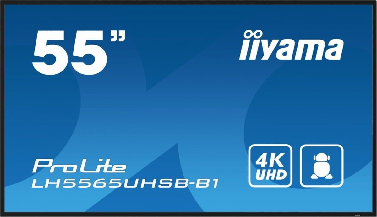 IIYAMA