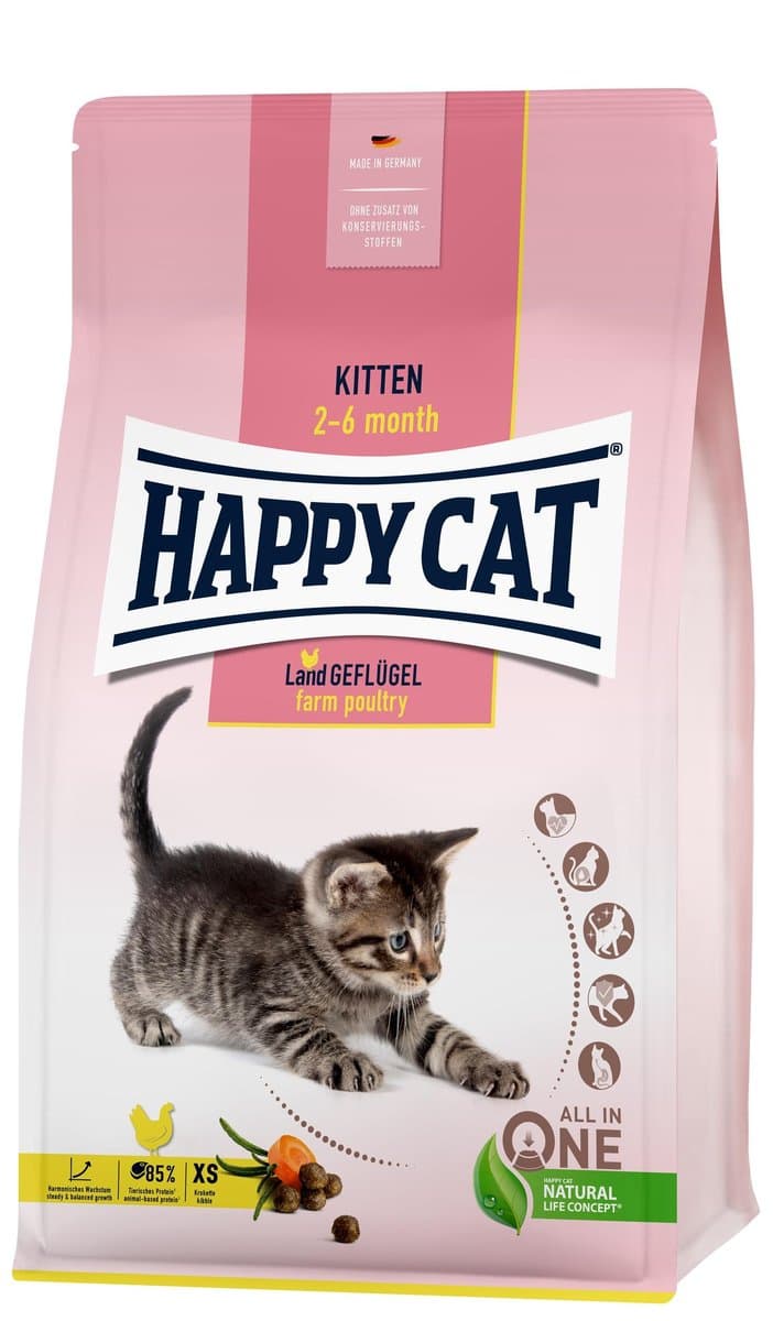 Kitten Farm Poultry, sucha kar