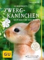 Liebenswerte Zwergkaninchen