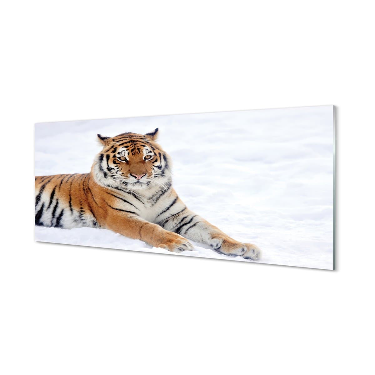 Panel kuchenny ochrona Tygrys zima śnieg 125x50 cm