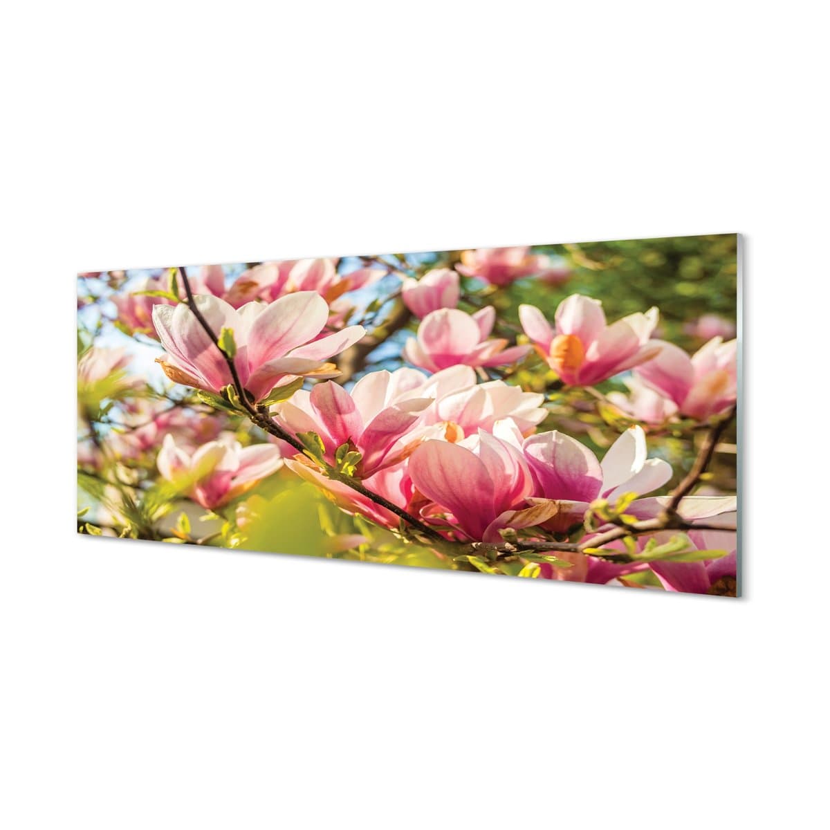 Panel szklany klej Różowa magnolia 125x50 cm