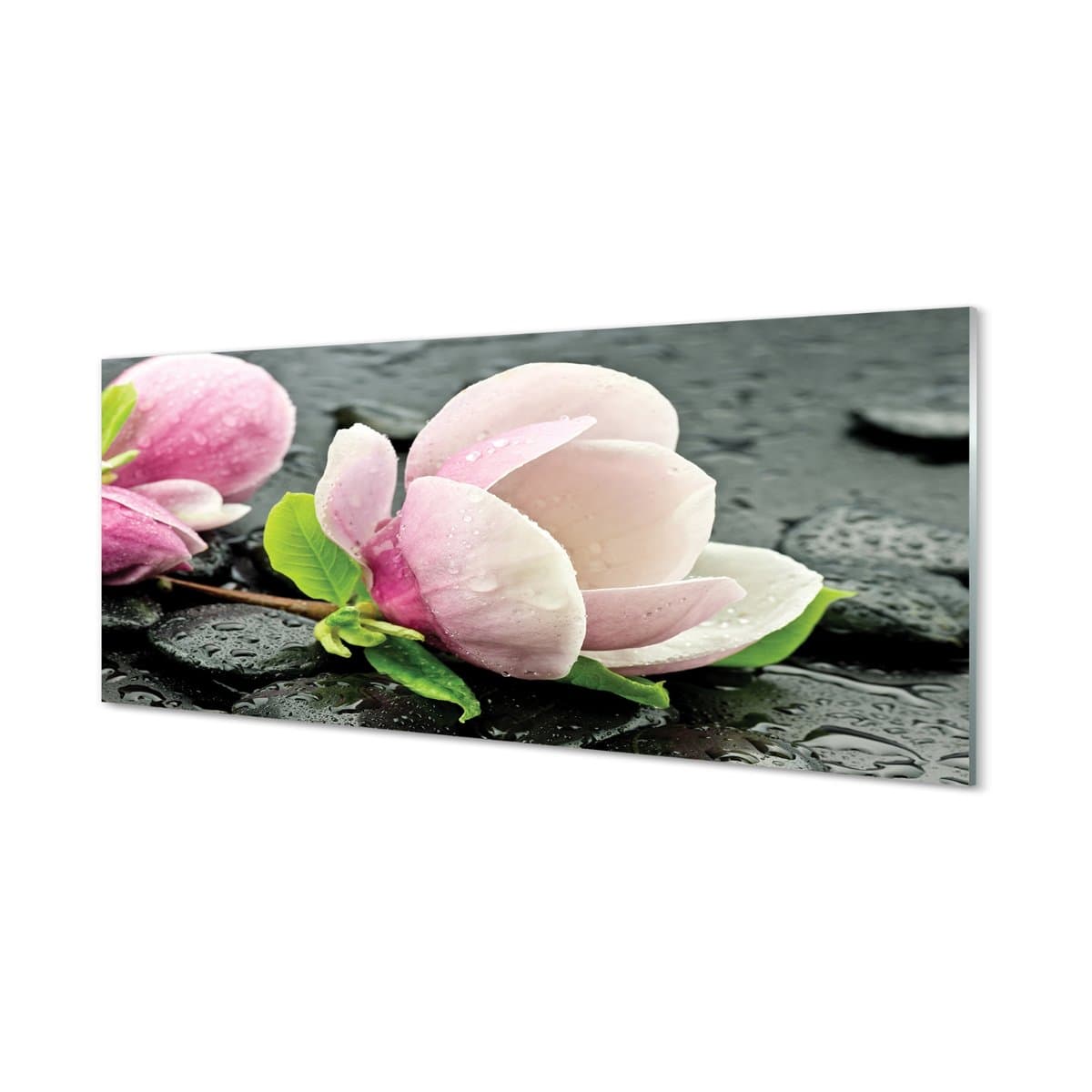 Panel szkło hartowane Magnolia kamienie 125x50 cm