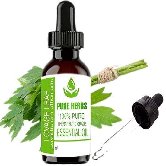 Pure Herbs Liść lubczyku (Lubczyk pospolity) Czysty i naturalny olejek eteryczny o jakości terapeutycznej w plastikowym opakowaniu z kroplomierzem