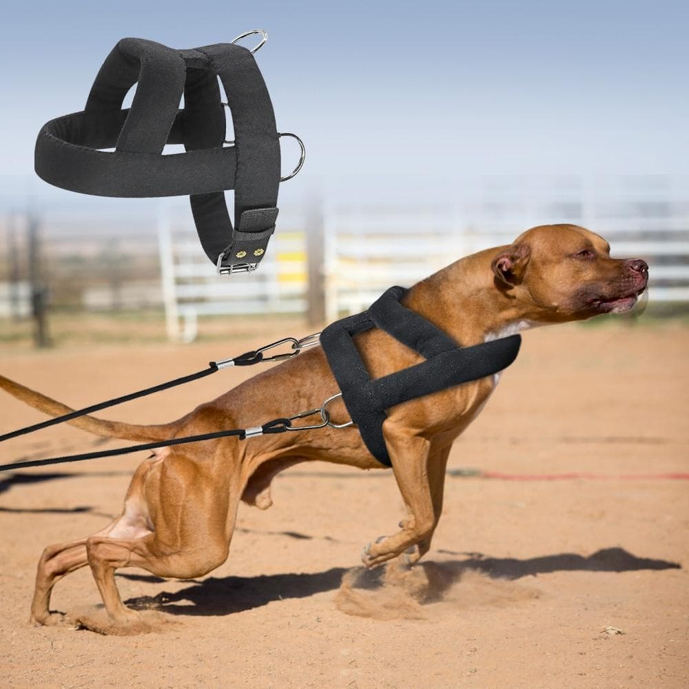 Szybka dostawa uprząż dla psa miękkie wyściełane szelki dla psów Pitbull duże duże szelki treningowe dla psów Pet Agility Products czarny