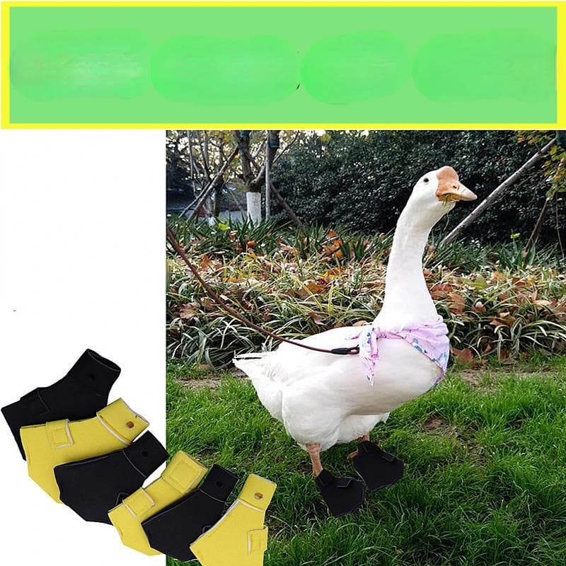 2 szt. Wodoodporne lekkie buty dla zwierząt domowych, codzienne buty do chodzenia, obuwie dla małych kaczek, gęsi, buty dla kaczek na zewnątrz