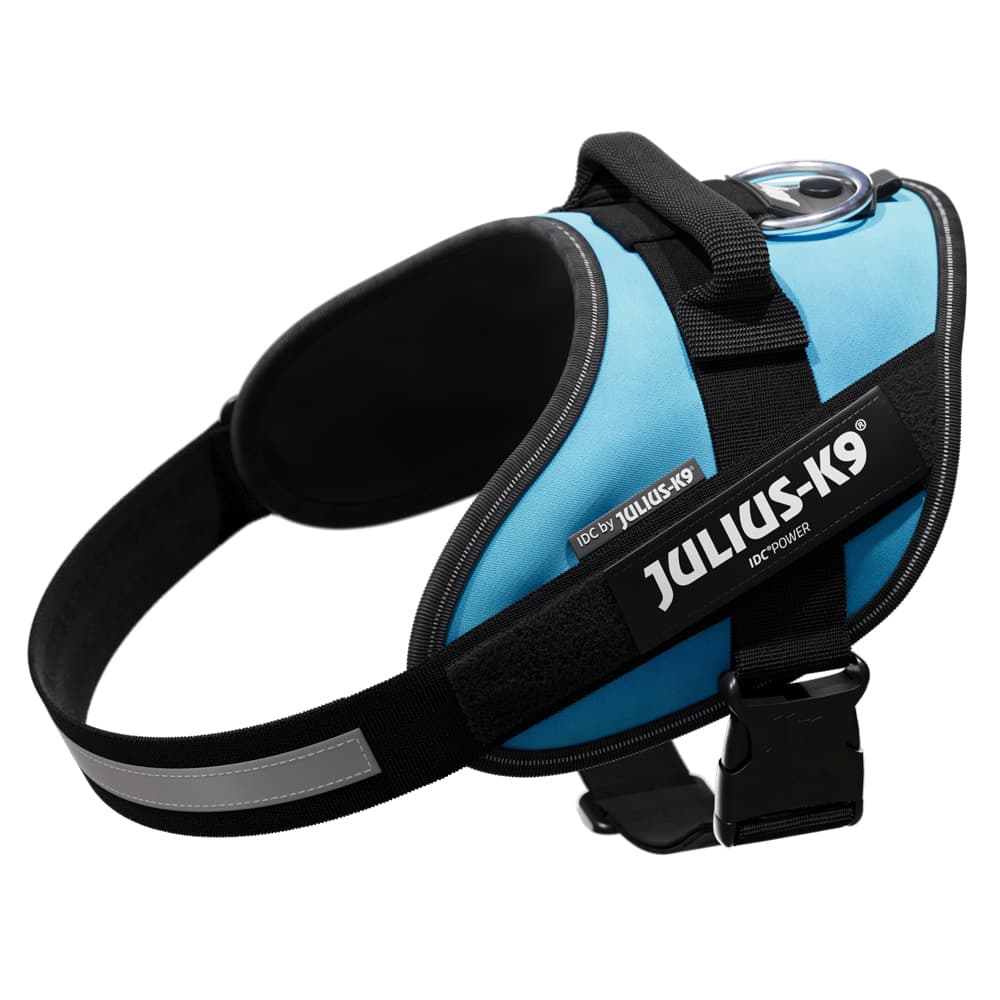 JULIUS-K9 IDC® Power szelki dla psa, akwamaryn - Rozmiar: M