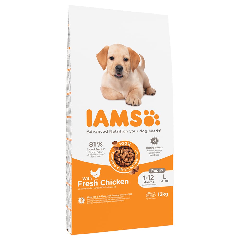IAMS Advanced Nutrition Puppy Large, kurczak - 2 x 12 kg