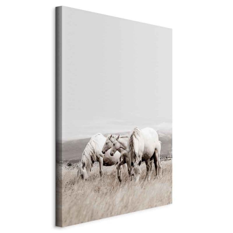 Obraz Artgeist Białe konie 80 x 120 cm flizelina 1 szt