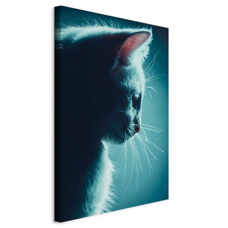 Obraz Artgeist Nocny włóczęga 60 x 90 cm flizelina 1 szt