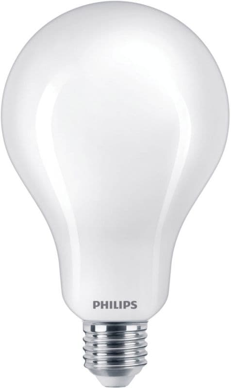 Żarówka LEDG Philips A95 E27 3452 lm 6500 K
