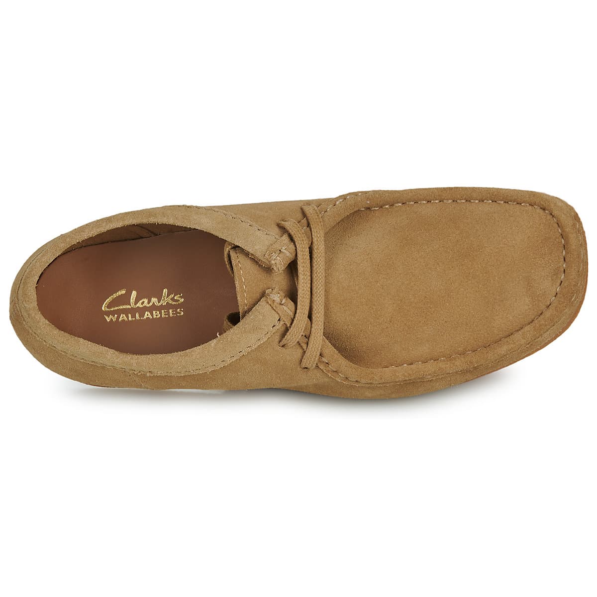 Derby Clarks  WALLABEE EVO