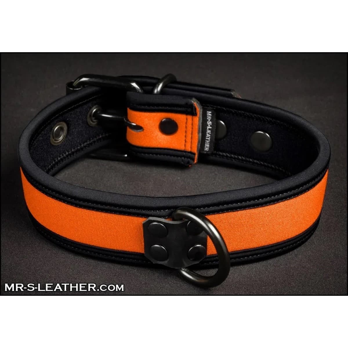 Neo Bold Color Puppy Collar Orange Mr-S-Leather