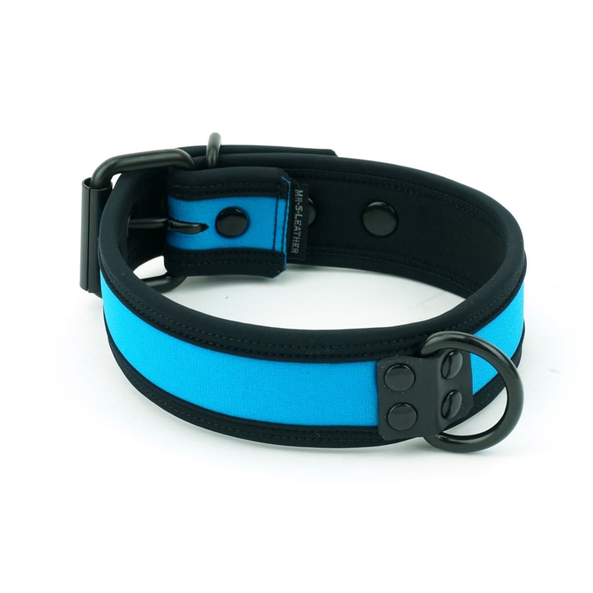 Neo Bold Color Puppy Collar Aqua Mr-S-Leather
