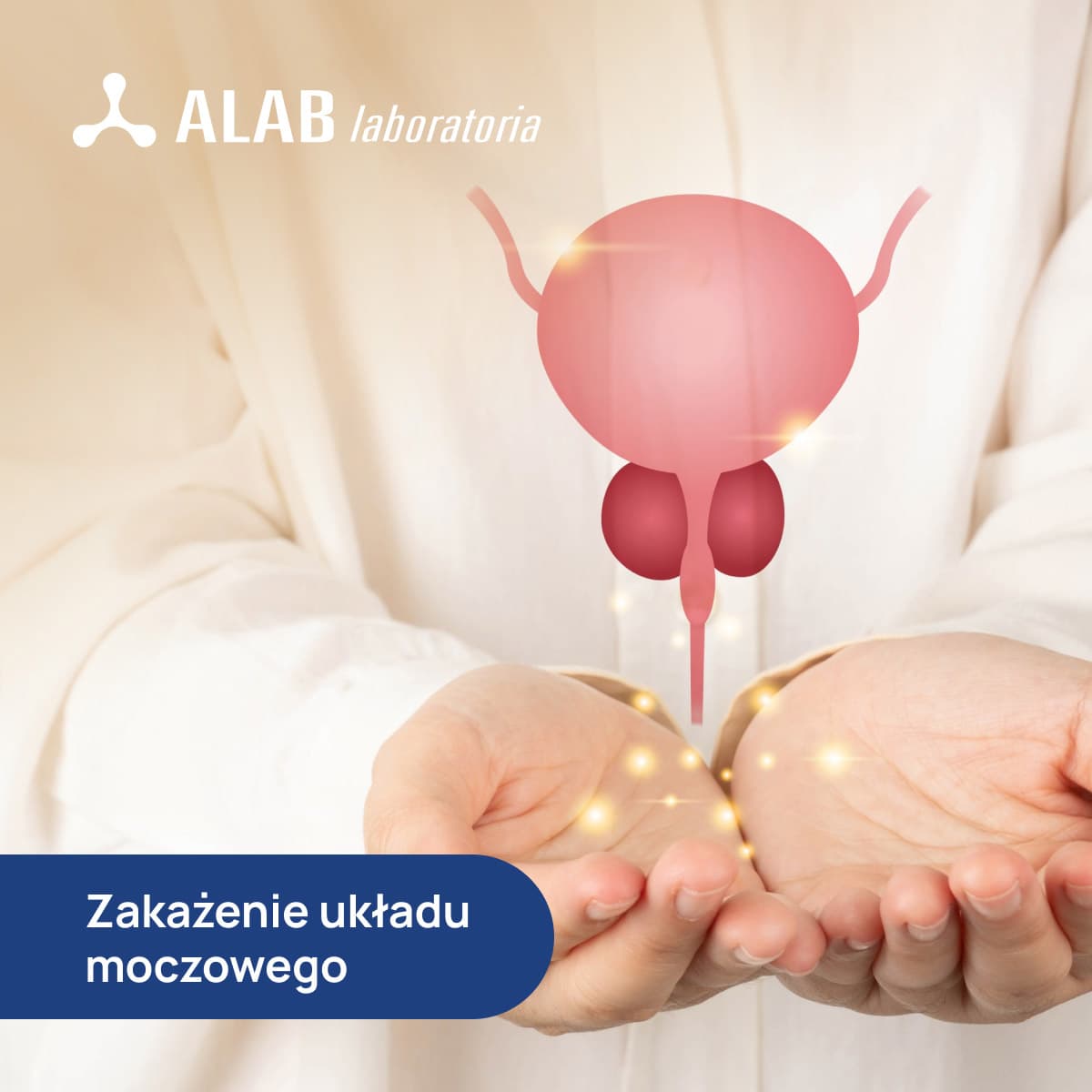 Zakażenie układu moczowego
