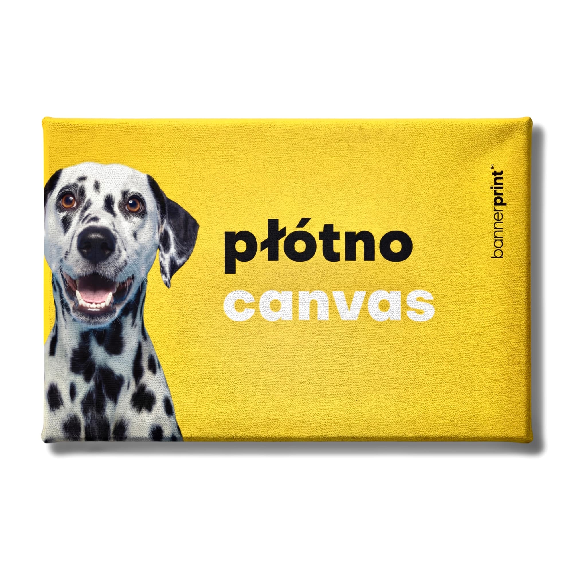 Płótno canvas