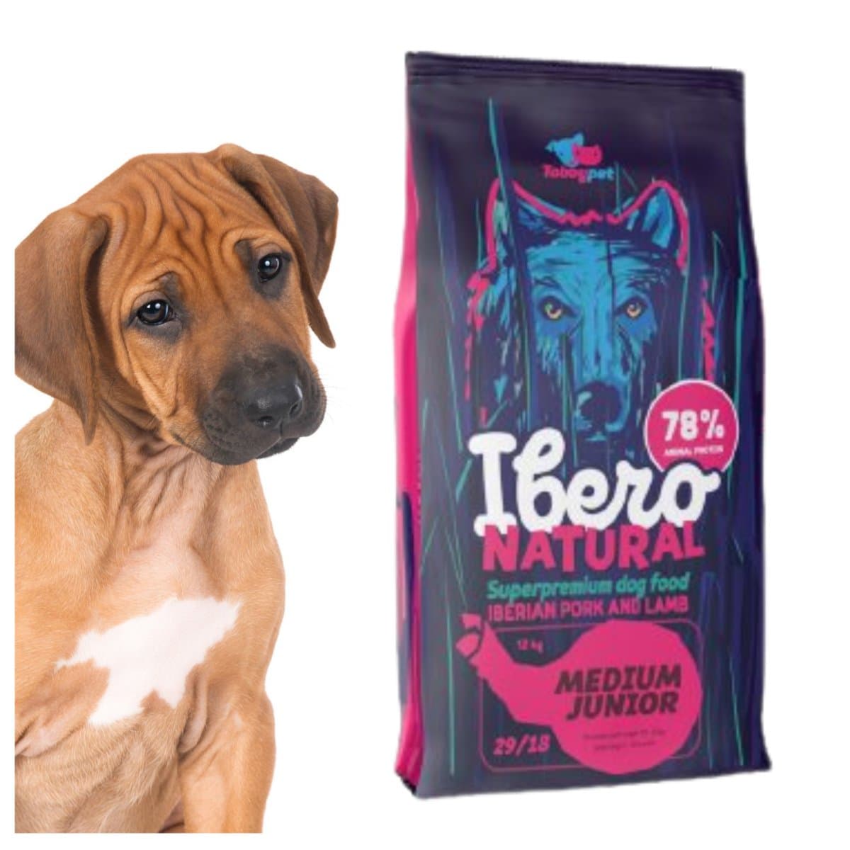 Ibero Natural Medium Junior Pork Lamb Jagnięcina 3Kg Karma Sucha