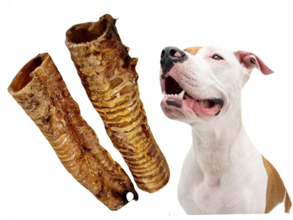 NATURALNY GRYZAK PRZYSMAKI DLA PSA TCHAWICA WOŁOWA CAŁA 1 SZT 40 CM - 55 CM