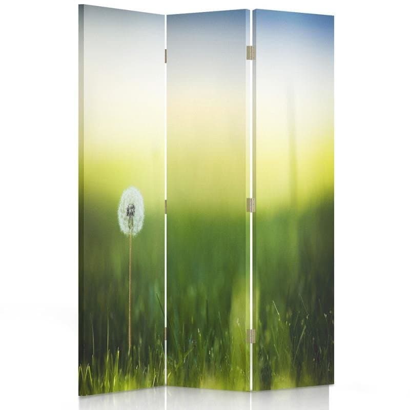 Parawan pokojowy FEEBY, Dmuchawiec w zielonej trawie, Obrotowy 110x170cm 3-częściowy