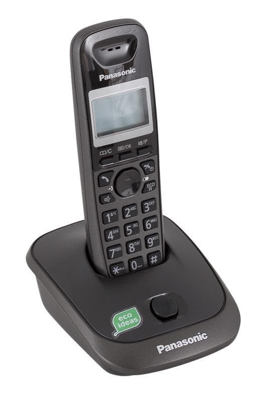 Telefon PANASONIC KX-TG2511PDT tytanowy