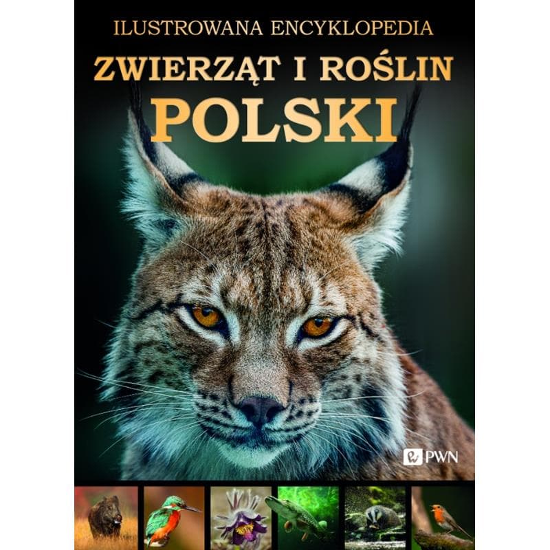 Ilustrowana Encyklopedia Zwierząt I Roślin Polski Książka Twarda Oprawa