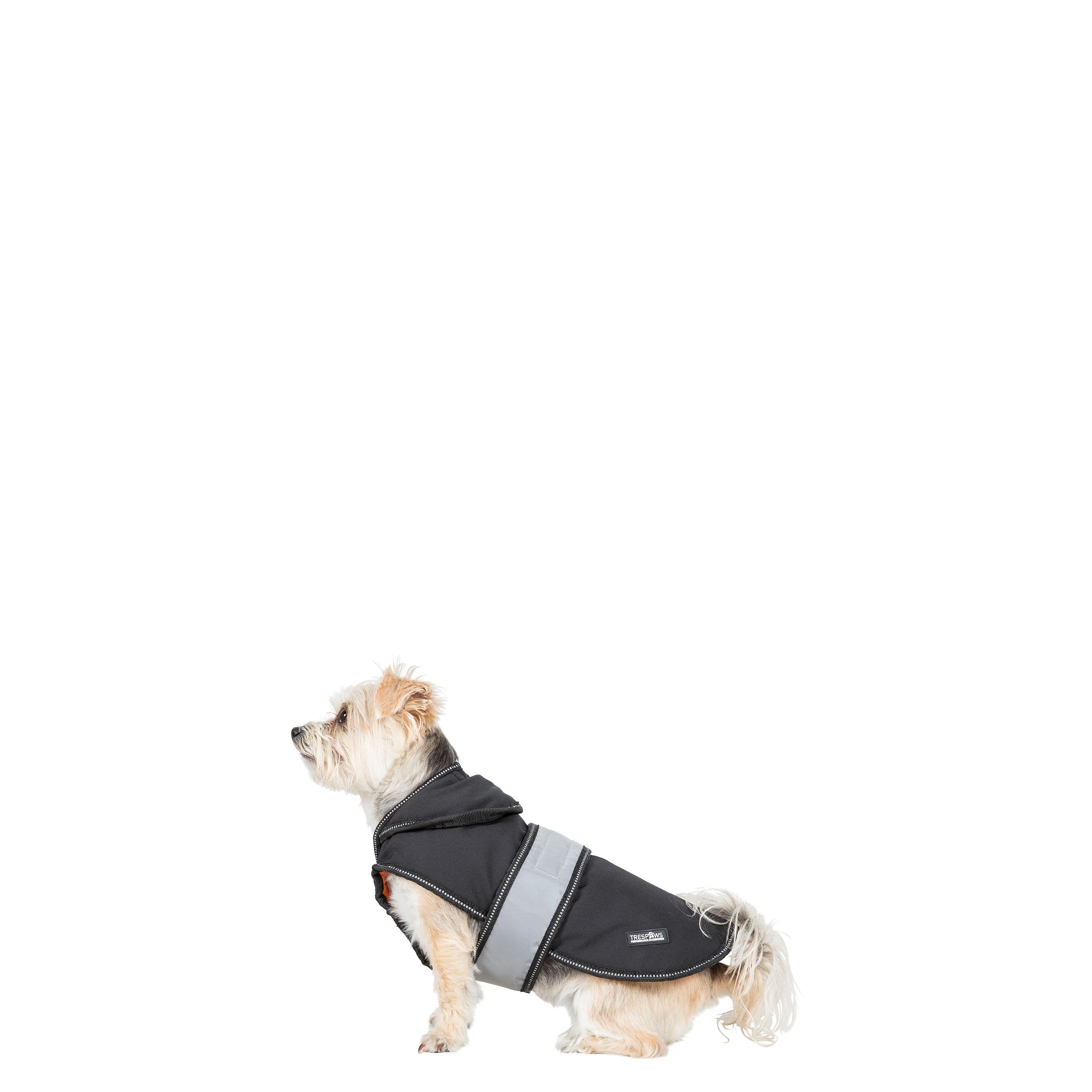 Kurtka Dla Psów Z Podszewką Polarem Softshell Butch X